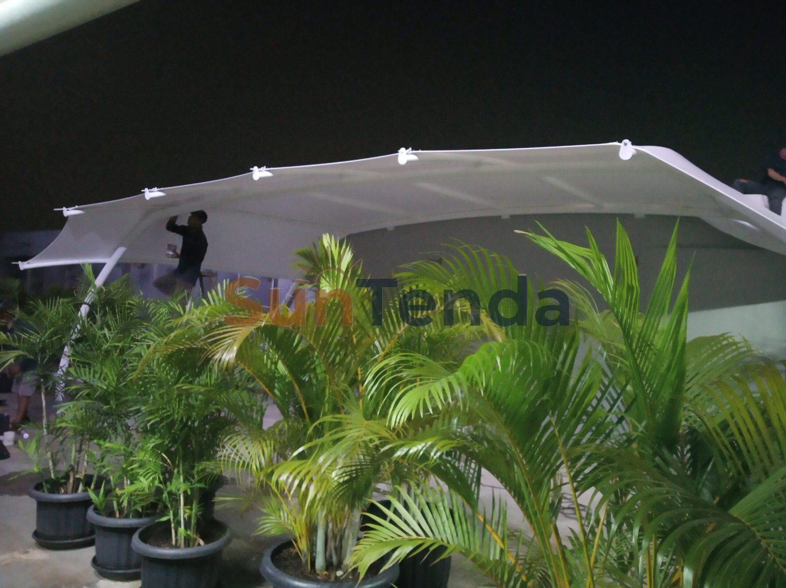 Tenda Membrane